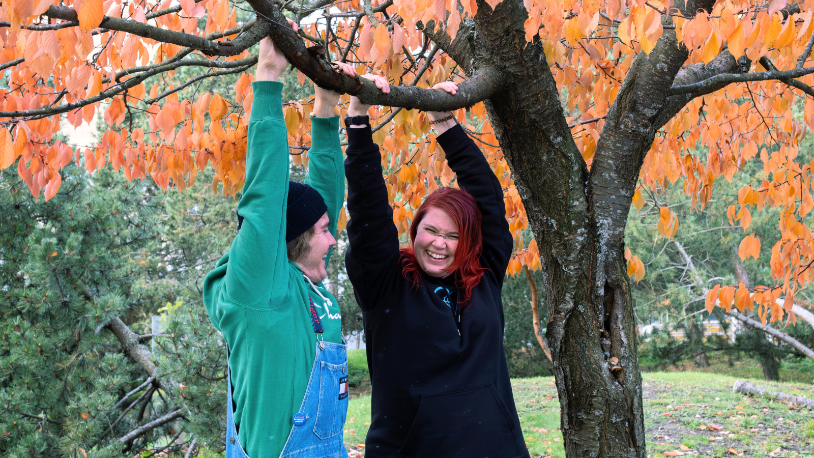 Antti ja Sini roikkuvat puunoksasta syksyisessä maisemassa.