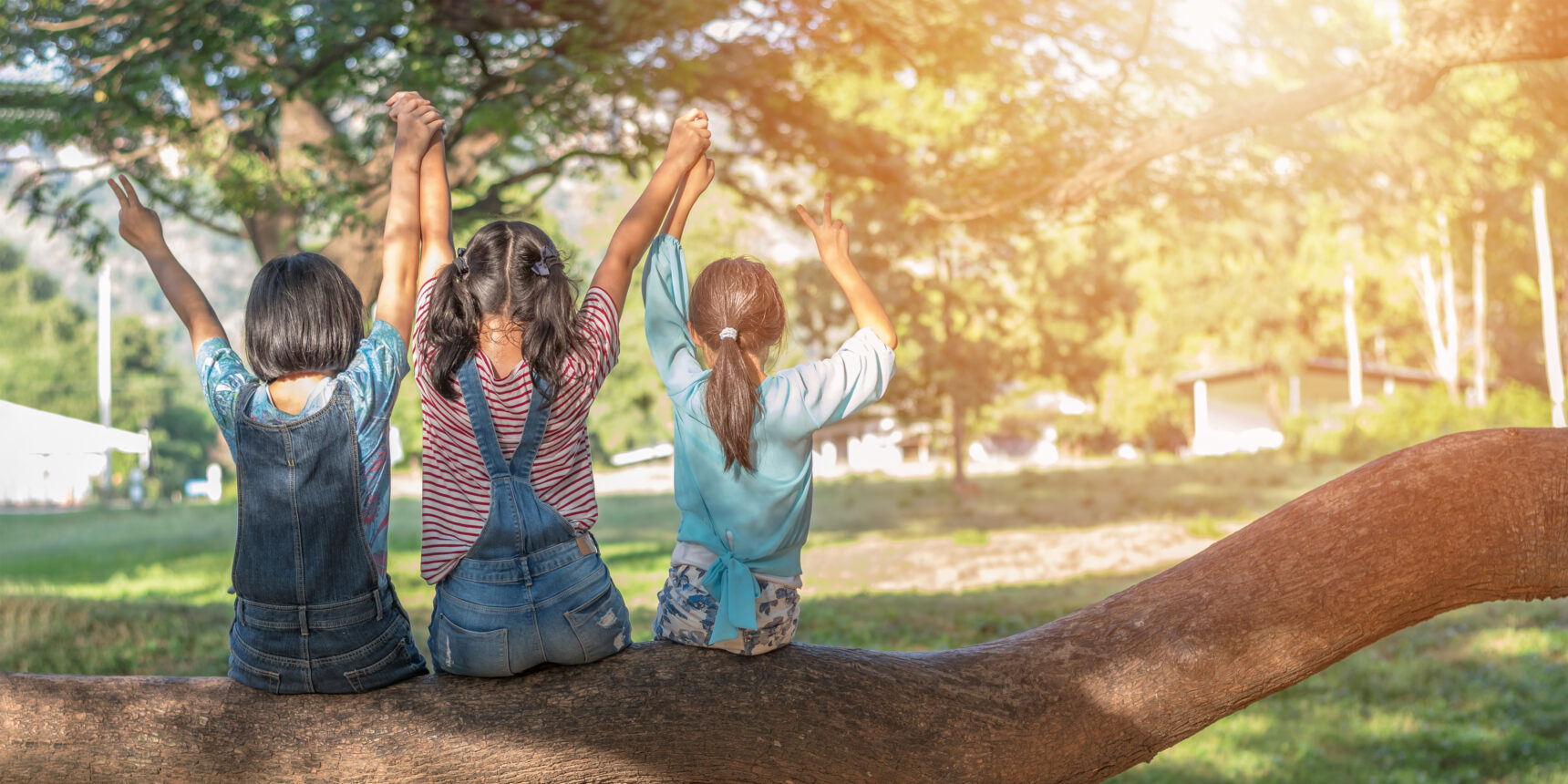 Kuvassa kolme lasta istuu selkä kameraan päin puunrungon päällä kädet ilmassa toisten käsistään pitäen.