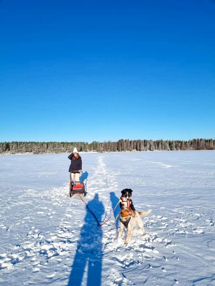 Kummikotiartikkelia varten haastateltu henkilö koiran kanssa talvella jäällä.